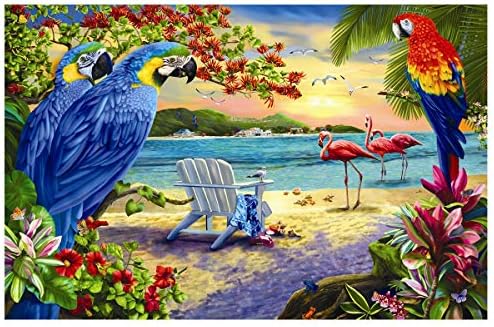 Twuky DIY 5D Diamond Painting by Number Kits, Crystal Rhinestone Diamond Embroidery Paintings Pictures Arts Craft for Home Wall Decor, Full Drill,Parrot(35X45CM/14X18inch)
