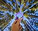Lokai Purple Limited Edition Bracelet