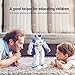 MH Zone Smart Robot for Kids with Remote and Gesture Control Robotics Gifts for Boys Girlsthumb 3