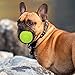 PUPTECK Squeaky Tennis Balls for Dogs, 2.5