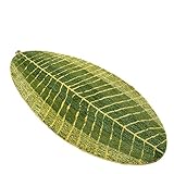 ZebraSmile Various Size Green Leaf Microfiber Entryway Door Carpet Entryway Door Rug for Restroom Home Entrance Door Carpet Entry Microfiber Doormat Indoor Carpet Bathroom Mat with Anti-Slip Back