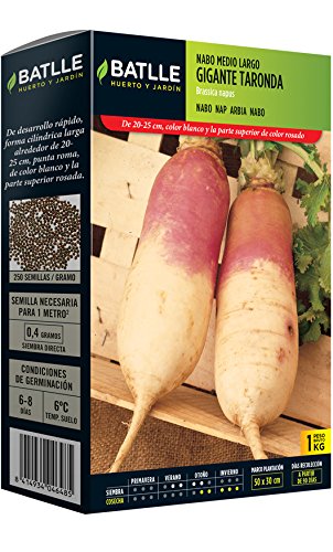 Semillas Batlle - Nabo Norfolk Cuello Rosa Caja 250G: Amazon.es ...