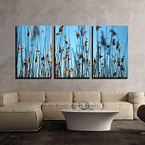 3 Piece Canvas Wall Art - Close Up of Reeds on Blue Sky - Modern Home Art Stretched and Framed Ready to Hang - 16"x24"x3 Panels