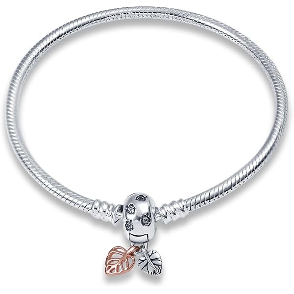 Hapour 925 Sterling Silver Charms - European Style Beads For Bracelets & Necklaces, Gift For Women - View #8