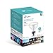 Kasa Smart Light Bulb, Multicolor by TP-Link – WiFi Bulb, No Hub Required, Works with Alexa & Google (LB230)