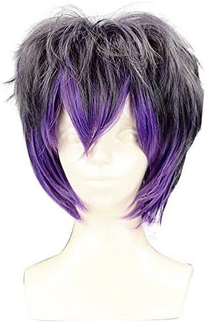 PINKISS Fashion Colorful Harajuku Style Cosplay Wig with Free Wig Cap (SC047B / Black Purple)