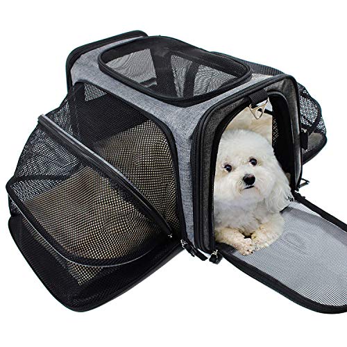 Odie Tom Pet Carrier for Dogs & Cats Airline Approved Expandable
