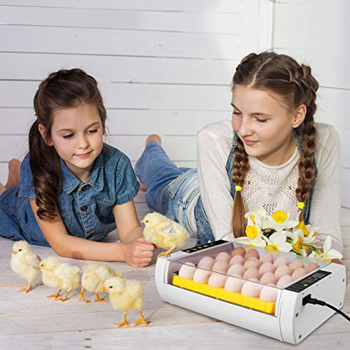 Egg Incubator for Hatching Chicks, 24 Eggs Automatic Egg Incubator