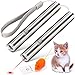 Dialeesi Laser Pointer Interactive LED Light Fun Chaser Toys Training Exercise Tool For Pets Cats Dogs 2 in 1 With Screaming Mouse