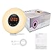 Salute ZJB00221-Wake02-Gm6  Wake Up Sunrise Light Alarm Clock, FM Radio, Sunset Simulator, 6 Natural Sounds, 7 Color Night Light, 11 Mode Brightness, Touch Control, Smart Snooze Function, USB Charger For Heavy Sleepers