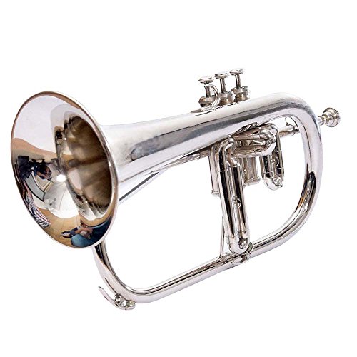 Flugelhorn Chrome Bb Pitch W Hardcase Mp Fluglehor Silver SHRY035
