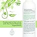 The Wonder Seed Hemp Shampoo - All Natural Organic Formula - Vegan Friendly Blend - Best Solution for Dry Itchy Scalp/Dandruff/Oily Hair & More - Proudly Cruelty Free (Green Tea) 8oz