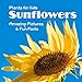 Plants for Kids Sunflowers: Amazing Pictures & Fun Facts by Extraordinary Publishing