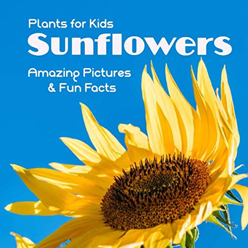 Plants for Kids Sunflowers: Amazing Pictures & Fun Facts by Extraordinary Publishing