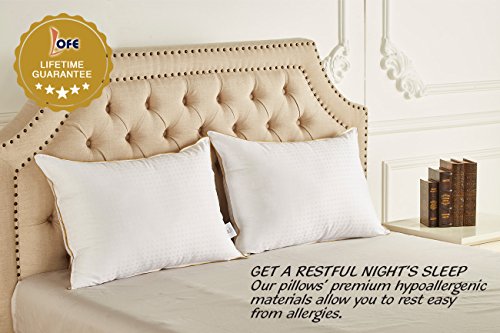 Lofe Adjustable Side Sleeper Pillow Hotel Collection - Goose Down Alternative Pillow 2 pack - Hypoallergenic Hospital Bunk Bed Pillow for Stomach Sleeping Queen Size