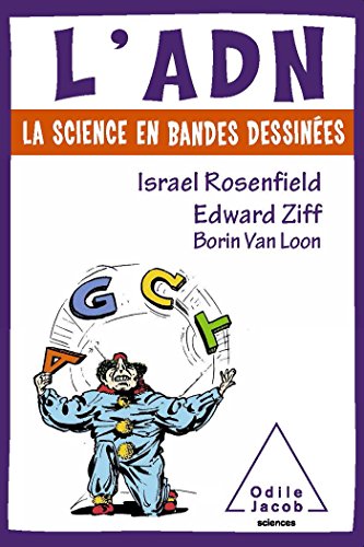 L'  ADN