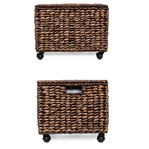 BIRDROCK HOME Rolling File Storage Organizer Box with Lid