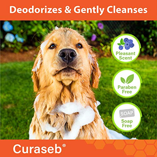 Curaseb Chlorhexidine 4 Shampoo for Dogs & Cats Antibacterial