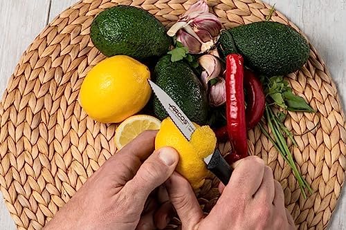 Coloca 3 facas de descascar. 3 facas de descascar em aço inoxidável e cabo ergonómico de polipropileno para cortar frutas, legumes e tubérculos. Série Nova. Cor preta.