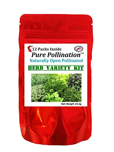 Pure Pollination's Herb Seed Variety Kit - 12 Unique Strains - Spice up your Garden - 100% Heirloom & Non GMO Pure Pollination's Herb Seed Variety Kit - 12 Unique Strains - Spice up your Garden - 100% Heirloom & Non GMO