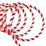 Sienna 31533314 Red and White Candy Cane Indoor/Outdoor Christmas Rope Lights, 18'