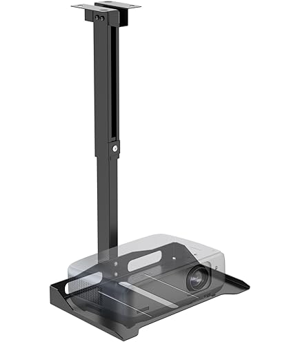 Amazon.com: Chief CPA330 Pin Connection Offset Ceiling Plate, 500