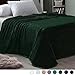Exclusivo Mezcla Fleece Blanket Queen Size for Bed, Super Soft and Warm, All Season Use, Cozy, Plush, Lightweight, 90x90 Inches, Forest Green