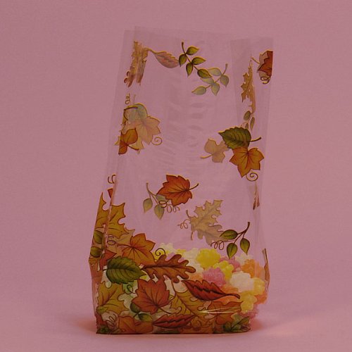 Autumn Leaves Clear Cello Party Bags - 20 Pack