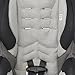Evenflo SureRide DLX Convertible Car Seat, Paxton