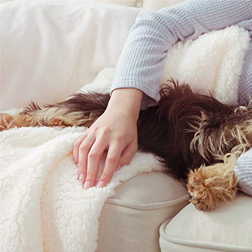 Bedsure Sherpa Blanket King Size Fleece Blanket Not Electrical Milky White Plush Blanket Fuzzy Soft Blanket Microfiber Large Blanket For Bed Couch Sofa Pricepulse