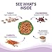 Wellness Complete Health Pate Adult Wet Cat Food, Natural, Protein-Rich, Grain Free, 5.5 Ounce, 24 Pack, (Turkey)