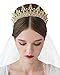 SWEETV Princess Crown CZ Crystal Pageant Queen Tiara Bridal Wedding Headpiece Women Hair Jewelry, Gold+Clear