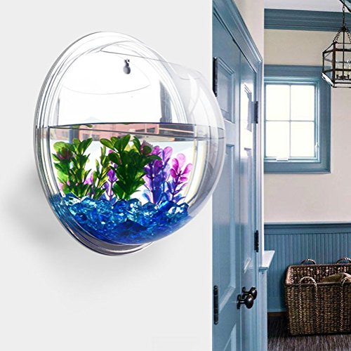 Homecube wall hanging bubble fish tank flowerpot wall mount acryl…