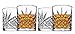 James Scott Double Old Fashioned Glasses, Set of 4, Europen Design with Gift Box, 11oz glasses