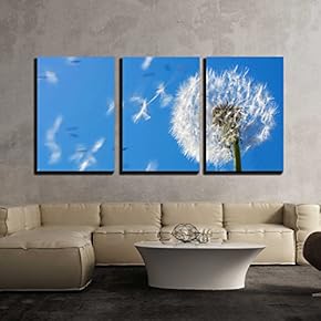 3 Piece Canvas Wall Art - Dandelion Seeds Flying in The Blue Sky. Useful for Spring Themes or Serenity - Modern Home Art Stretched and Framed Ready to Hang - 16"x24"x3 Panels