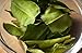 Dried Kaffir Lime Leaves - All Natural Non-Irradiated Makrut Lime Leaves Finely in an Airtight Resealable Pouch -use in for Tom Yum, Tom Kha - for Asian and Indian Food.
