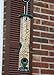 Ashman Bird Feeder Green Color (1 Pack), Metal Top and Bottom, Spacious Design, Attractive & Long Lasting, Fill it with Sunflower Black Oil Seeds, Clean and Fill, Great Gift for Friends and Family.