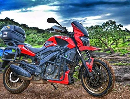 dominar front mudguard price