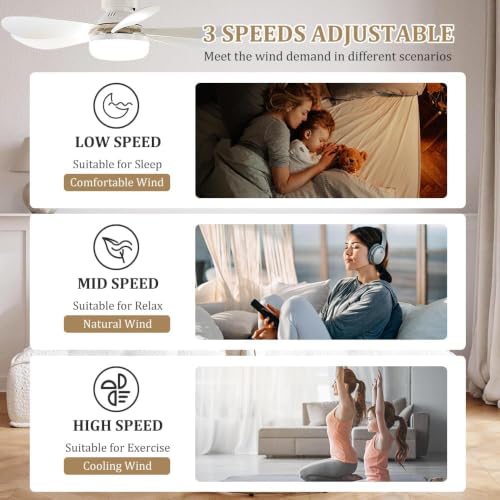 Ceiling Fan with Light and Remote Control,30W Dimmable LED Fan Lights,E27 Socket Fan Light with Remote,3 Speeds,3 Color Temperatures,Timing,3000-6000K Dimmable,Quiet DC Motor for Parlor,Bedroom