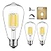 GEZEE 10W Edison Style Vintage LED Filament Light Bulb, 100W Incandescent Replacement,4000K,1000LM, E26 Medium Base Lamp, ST21(ST64) Antique Shape, Dimmable(3-Pack)