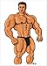 I Am A Freak: The Collected Muscle Freak Stories of Falseyedee