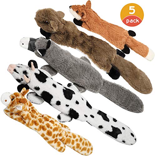 Top 10 Dog Toys No Stuffing of 2020 No Place Called Home