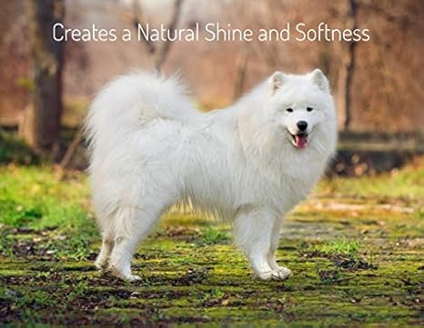 touch of mink dog shampoo