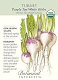 Turnip Purple Top White Globe Organic Seed