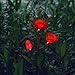 XLUX Outdoor Solar Powered Rose Lights Flower Stake, for Garden Patio Yard Christmas Pathway Decoration, Red