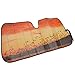 Double Bubble Auto Sun Shade for Car SUV Truck - Silhouette Flock of Birds at Sunset - Jumbo Folding Accordion