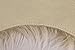 Nouvelle Legende® Faux Fur Sheepskin Premium Rug Quattro (43 in. X 73 in.) White