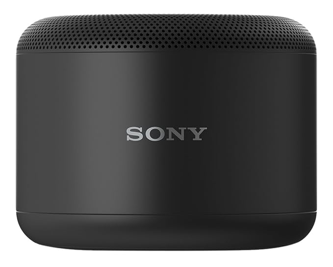 sony bsp10 speaker