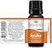 Plant Therapy Rosalina Essential Oil 10 mL (1/3 Ounce) 100% Pure, Undiluted, Therapeutic Grade