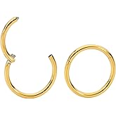 365 SLEEPERS 2PCS 316L Surgical Steel Hypoallergenic 18G Septum Jewelry Hinged Segment Ring Body Piercing Hoop Lip Rings Helix Cartilage Rook Sleeper Earrings 6mm – 13mm
